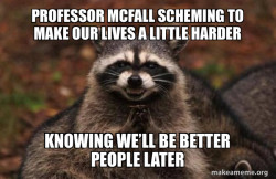 Evil Plotting Raccoon