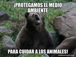 Sarcastic Bear