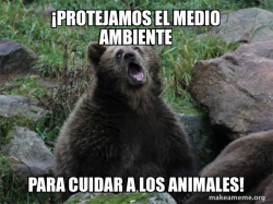 Sarcastic Bear