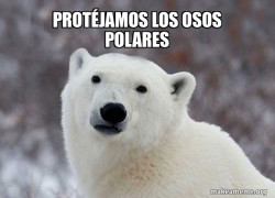 Popular Opinion Polar Bear