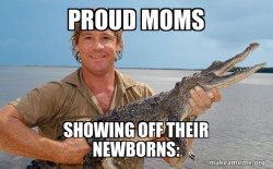 Steve irwin