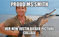 Steve irwin