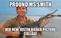 Steve irwin