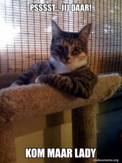 The Most Interesting Cat in the World