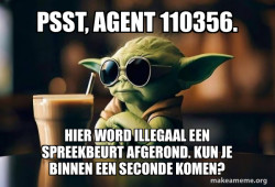 Cool Yoda (Sunglasses)