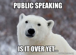 Popular Opinion Polar Bear