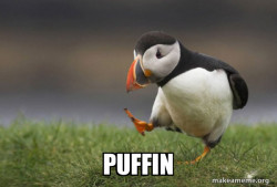 Unpopular Opinion Puffin