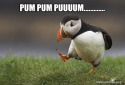 Unpopular Opinion Puffin