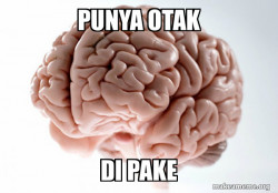 Scumbag Brain