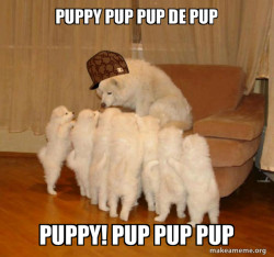 Scumbag Storytelling Dog
