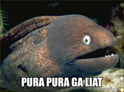 Bad Joke Eel