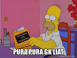 Internets Homer