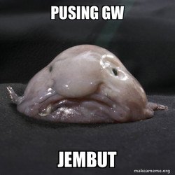 Blobfish