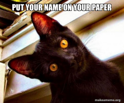 Overly Attached Cat