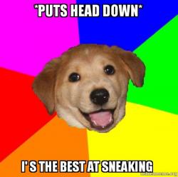 Advice Dog