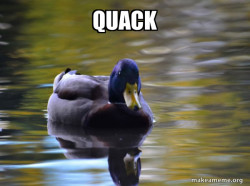 Zen Advice Mallard