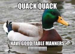 Actual Advice Mallard