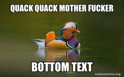 Fashionable Advice Mallard