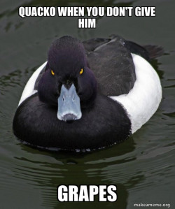 Quacko when you don't give him grapes