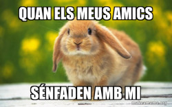 Regretful Rabbit