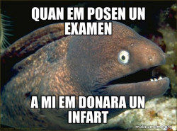 Bad Joke Eel