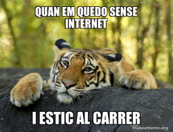 Confession Tiger