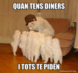 Scumbag Storytelling Dog