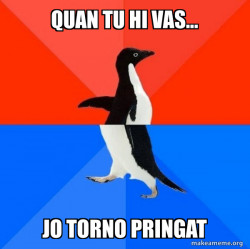 Socially Awesome Awkward Penguin