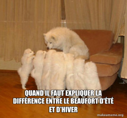 Storytelling Dog