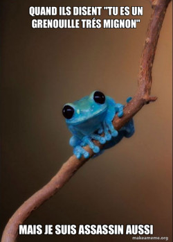 Small Fact Frog