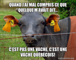 Vive le franÃ§ais 