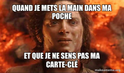 Frodo it's over it's done