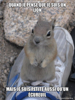 Standover Squirrel