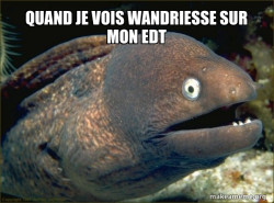 Bad Joke Eel