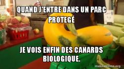 Gourd Advice Mallard