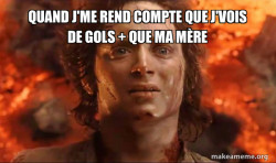 Frodo it's over it's done