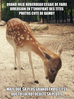 O M G Deer