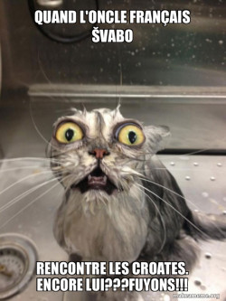 Cat bath