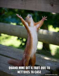 Happy Squirrel