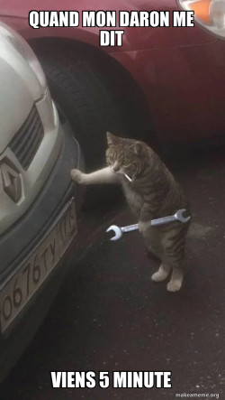 Mechanic Cat