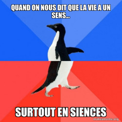 Socially Awkward Awesome Penguin