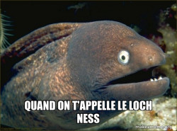 Bad Joke Eel