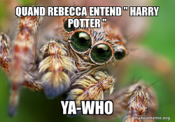 Hipster Spider