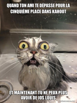 Cat bath
