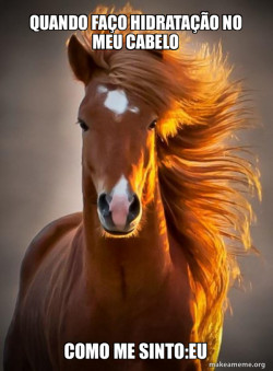 Ridiculously photogenic horse
