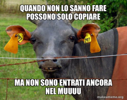 Hairless Cow