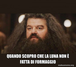 Hagrid - I should not have said that