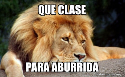 Confession Lion