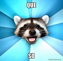 Lame Pun Coon
