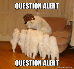 Scumbag Storytelling Dog